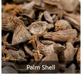 棕榈壳原料